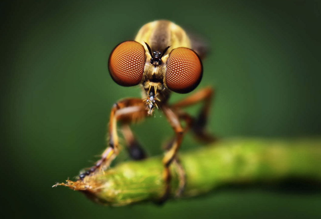 thomasshahan11 Galerie zdjęć i fotografii