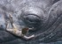 zena-holloway-08