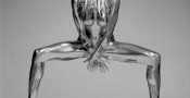 Silvereye – Guido Argentini - zdjęcie 1
