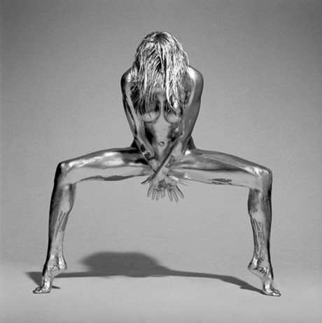Silvereye – Guido Argentini - zdjęcie 1