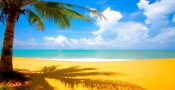 Piękne zdjęcia słonecznych plaż